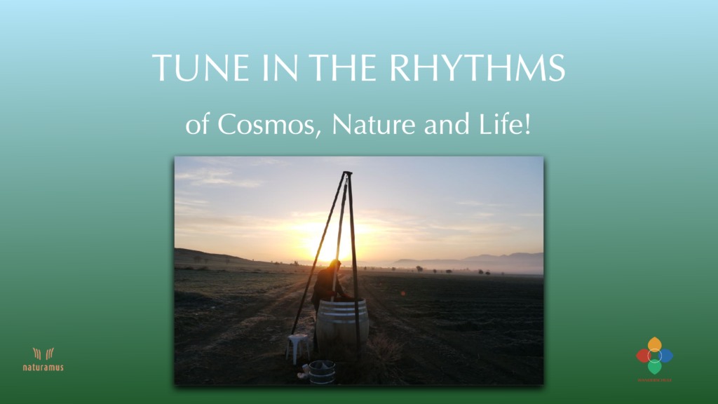 Tune in the Rhythms of cosmos, nature and life