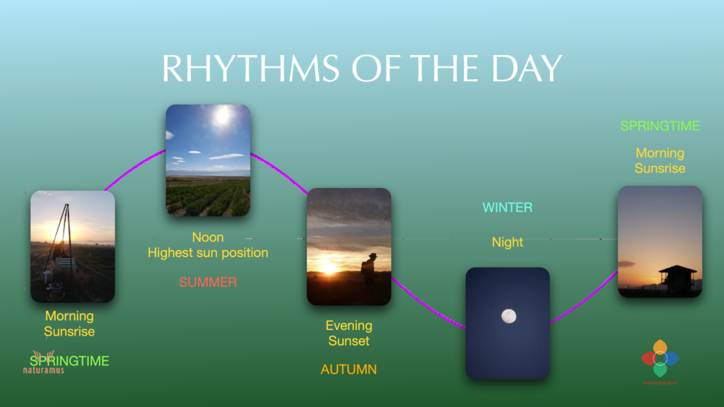 rhythms of the day