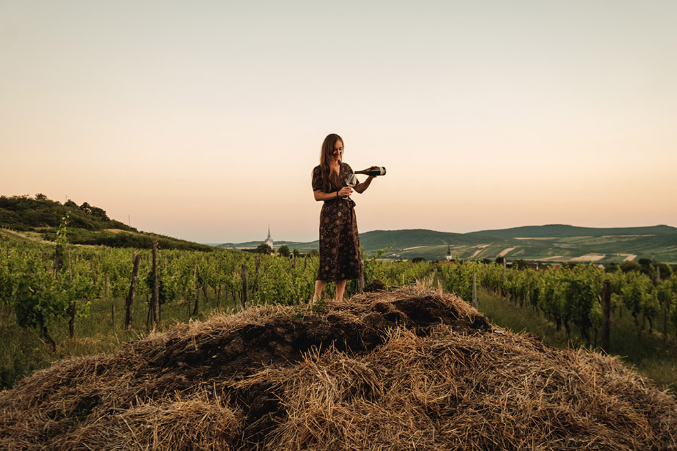 Biodynamic Viticulture (Adam Csordas)