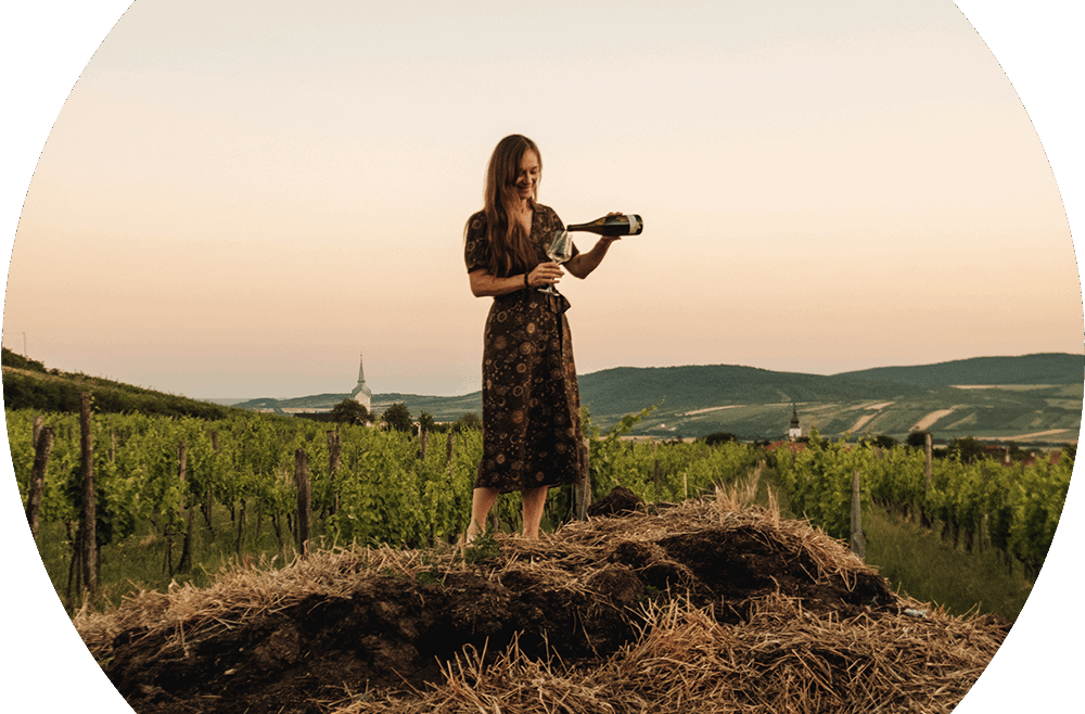 Biodynamic Viticulture